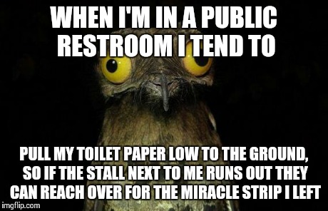 Weird Stuff I Do Potoo | WHEN I'M IN A PUBLIC RESTROOM I TEND TO PULL MY TOILET PAPER LOW TO THE GROUND, SO IF THE STALL NEXT TO ME RUNS OUT THEY CAN REACH OVER FOR  | image tagged in memes,weird stuff i do potoo | made w/ Imgflip meme maker