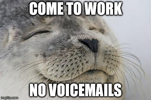 Satisfied Seal | COME TO WORK NO VOICEMAILS | image tagged in memes,satisfied seal,AdviceAnimals | made w/ Imgflip meme maker