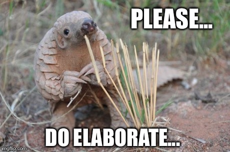 Precise Pangolin | PLEASE... DO ELABORATE... | image tagged in precise pangolin,please do elaborate,smartass,know it all,puzzled,unclear | made w/ Imgflip meme maker