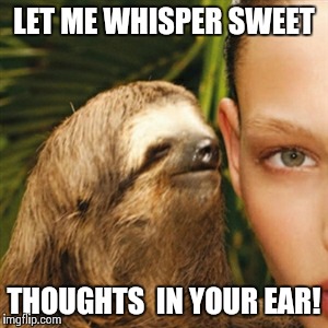 Whisper Sloth Meme | LET ME WHISPER SWEET THOUGHTS  IN YOUR EAR! | image tagged in memes,whisper sloth | made w/ Imgflip meme maker