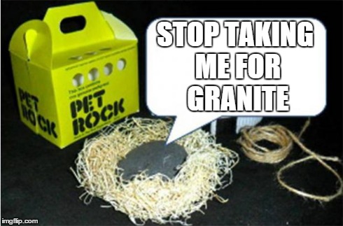 Pet Rock | STOP TAKING ME FOR GRANITE | image tagged in pet rock,puns | made w/ Imgflip meme maker