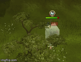 image tagged in gifs | made w/ Imgflip video-to-gif maker