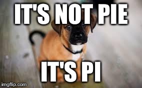 Cute dog | IT'S NOT PIE IT'S PI | image tagged in cute dog | made w/ Imgflip meme maker