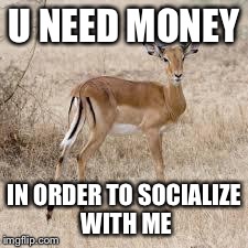 U need money impala | U NEED MONEY IN ORDER TO SOCIALIZE WITH ME | image tagged in u need money impala | made w/ Imgflip meme maker