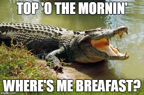 croc-o-dile Memes & GIFs - Imgflip