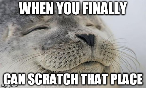 WHEN YOU FINALLY CAN SCRATCH THAT PLACE | made w/ Imgflip meme maker