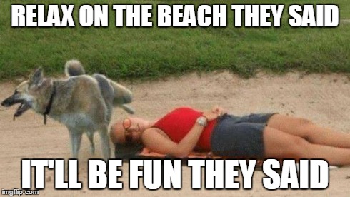 RELAX ON THE BEACH THEY SAID IT'LL BE FUN THEY SAID | image tagged in fails | made w/ Imgflip meme maker