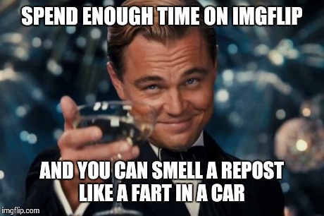 Leonardo Dicaprio Cheers Meme | SPEND ENOUGH TIME ON IMGFLIP AND YOU CAN SMELL A REPOST LIKE A FART IN A CAR | image tagged in memes,leonardo dicaprio cheers | made w/ Imgflip meme maker
