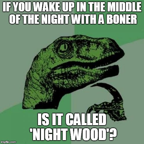 Philosoraptor | IF YOU WAKE UP IN THE MIDDLE OF THE NIGHT WITH A BONER IS IT CALLED 'NIGHT WOOD'? | image tagged in memes,philosoraptor | made w/ Imgflip meme maker