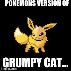 POKEMONS VERSION OF GRUMPY CAT... | image tagged in grumpy pokemon,evee | made w/ Imgflip meme maker