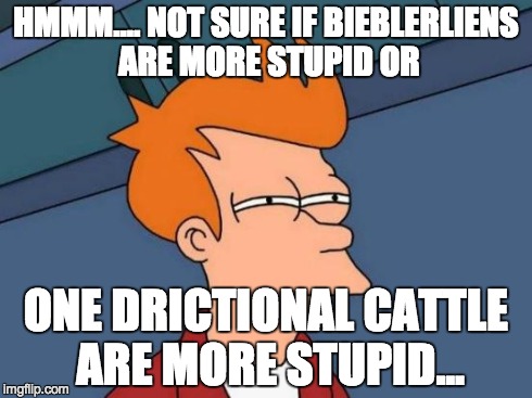 Futurama Fry Meme | HMMM.... NOT SURE IF BIEBLERLIENS ARE MORE STUPID OR ONE DRICTIONAL CATTLE ARE MORE STUPID... | image tagged in memes,futurama fry | made w/ Imgflip meme maker