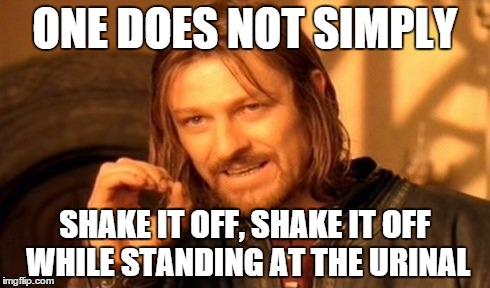 One Does Not Simply Meme | ONE DOES NOT SIMPLY SHAKE IT OFF, SHAKE IT OFF WHILE STANDING AT THE URINAL | image tagged in memes,one does not simply | made w/ Imgflip meme maker