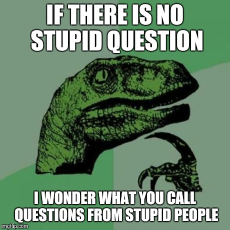 Philosoraptor | IF THERE IS NO STUPID QUESTION I WONDER WHAT YOU CALL QUESTIONS FROM STUPID PEOPLE | image tagged in memes,philosoraptor,funny memes,funny,comedy,oblivious hot girl | made w/ Imgflip meme maker