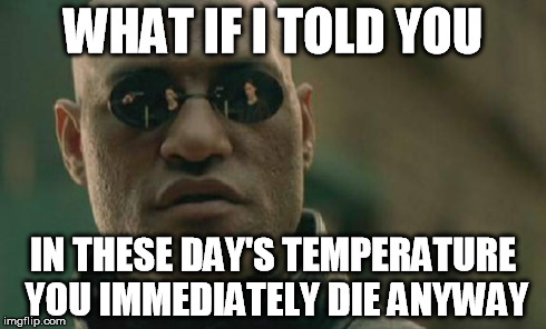 Matrix Morpheus Meme | WHAT IF I TOLD YOU IN THESE DAY'S TEMPERATURE YOU IMMEDIATELY DIE ANYWAY | image tagged in memes,matrix morpheus | made w/ Imgflip meme maker