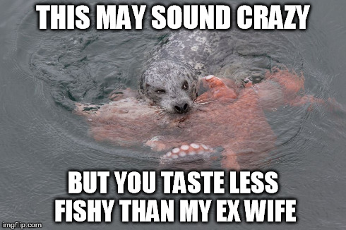 THIS MAY SOUND CRAZY BUT YOU TASTE LESS FISHY THAN MY EX WIFE | image tagged in memes,seal,heidi klum,octopus | made w/ Imgflip meme maker