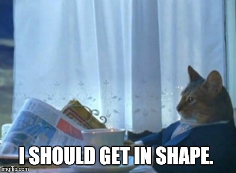 I Should Buy A Boat Cat | I SHOULD GET IN SHAPE. | image tagged in memes,i should buy a boat cat,AdviceAnimals | made w/ Imgflip meme maker