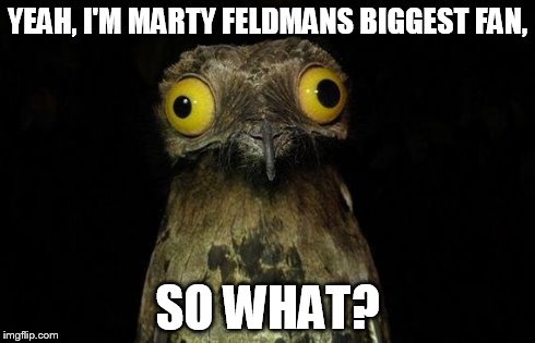 Weird Stuff I Do Potoo | YEAH, I'M MARTY FELDMANS BIGGEST FAN, SO WHAT? | image tagged in memes,weird stuff i do potoo | made w/ Imgflip meme maker