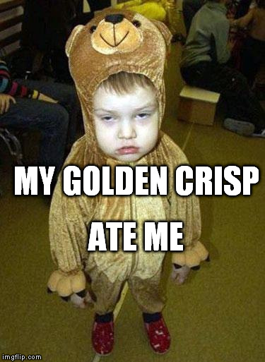 hungry sugar bear | MY GOLDEN CRISP ATE ME | image tagged in sleepy bear,memes | made w/ Imgflip meme maker