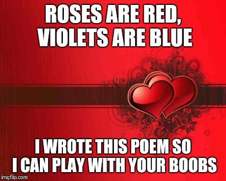 Valentine's day | ROSES ARE RED, VIOLETS ARE BLUE I WROTE THIS POEM SO I CAN PLAY WITH YOUR BOOBS | image tagged in valentines | made w/ Imgflip meme maker