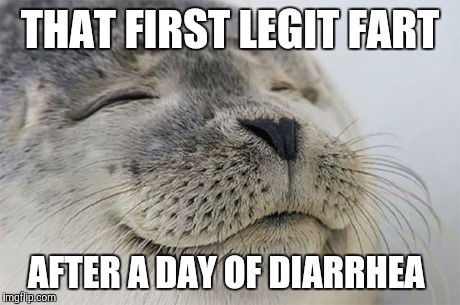Satisfied Seal Meme | THAT FIRST LEGIT FART AFTER A DAY OF DIARRHEA | image tagged in memes,satisfied seal | made w/ Imgflip meme maker