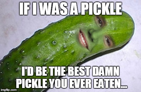 IF I WAS A PICKLE I'D BE THE BEST DAMN PICKLE YOU EVER EATEN... | image tagged in pickleman,pickles | made w/ Imgflip meme maker