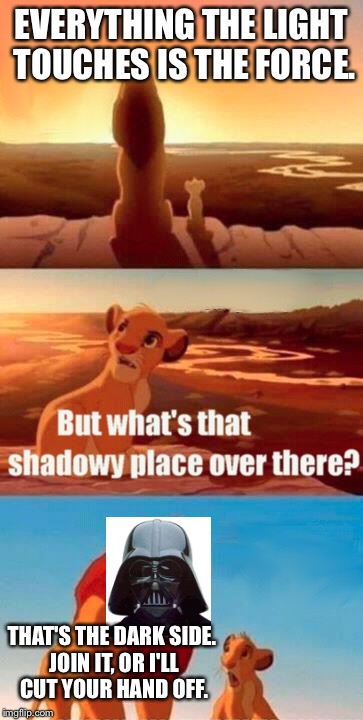Simba Shadowy Place | EVERYTHING THE LIGHT TOUCHES IS THE FORCE. THAT'S THE DARK SIDE. JOIN IT, OR I'LL CUT YOUR HAND OFF. | image tagged in memes,simba shadowy place | made w/ Imgflip meme maker