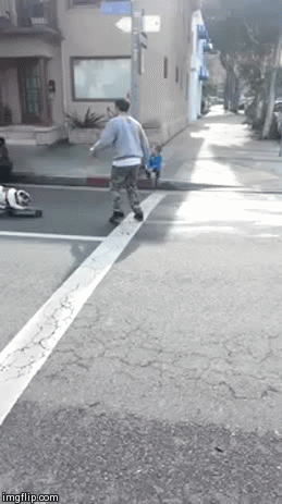 l8ter tater | image tagged in gifs,dog,skateboarding | made w/ Imgflip video-to-gif maker