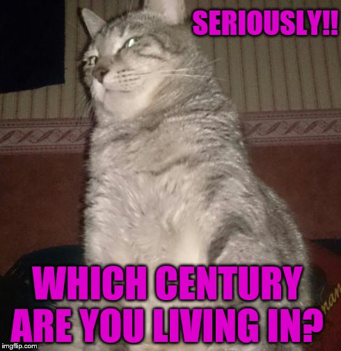 Cat stare | SERIOUSLY!! WHICH CENTURY ARE YOU LIVING IN? | image tagged in cat stare | made w/ Imgflip meme maker