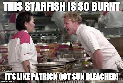 Angry Chef Gordon Ramsay Meme | THIS STARFISH IS SO BURNT IT'S LIKE PATRICK GOT SUN BLEACHED! | image tagged in memes,angry chef gordon ramsay | made w/ Imgflip meme maker