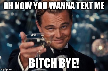 OH NOW YOU WANNA TEXT ME B**CH BYE! | image tagged in memes,leonardo dicaprio cheers | made w/ Imgflip meme maker