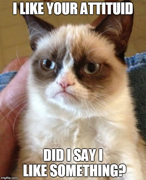 I LIKE YOUR ATTITUID DID I SAY I LIKE SOMETHING? | image tagged in memes,grumpy cat | made w/ Imgflip meme maker