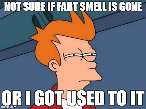 Futurama Fry | NOT SURE IF FART SMELL IS GONE OR I GOT USED TO IT | image tagged in memes,futurama fry | made w/ Imgflip meme maker
