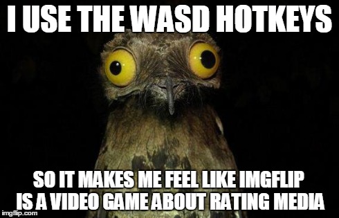 Weird Stuff I Do Potoo | I USE THE WASD HOTKEYS SO IT MAKES ME FEEL LIKE IMGFLIP IS A VIDEO GAME ABOUT RATING MEDIA | image tagged in memes,weird stuff i do potoo | made w/ Imgflip meme maker
