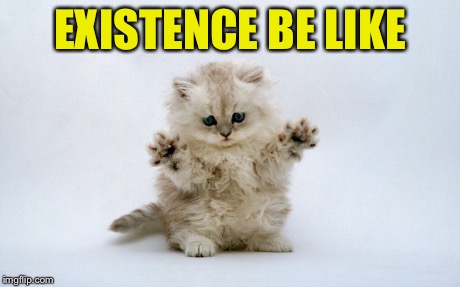Cognitive Kitten | EXISTENCE BE LIKE | image tagged in cats,space,kittens,new | made w/ Imgflip meme maker