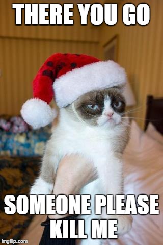 Grumpy Cat Christmas | THERE YOU GO SOMEONE PLEASE KILL ME | image tagged in memes,grumpy cat christmas,grumpy cat | made w/ Imgflip meme maker