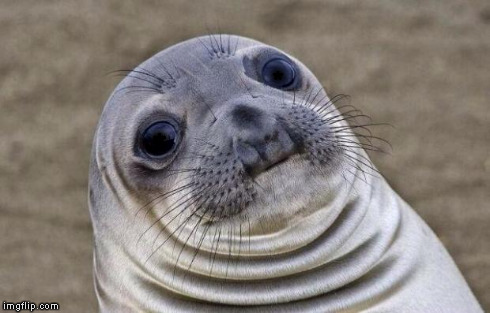 Awkward Moment Sealion Meme | * * | image tagged in memes,awkward moment sealion | made w/ Imgflip meme maker