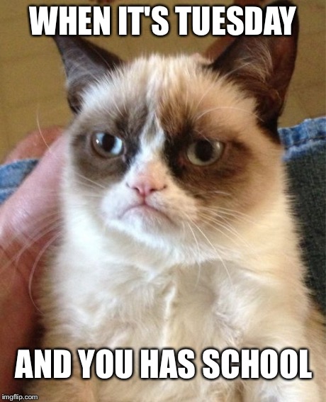 Grumpy Cat Meme | WHEN IT'S TUESDAY AND YOU HAS SCHOOL | image tagged in memes,grumpy cat | made w/ Imgflip meme maker