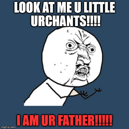 Y U No | LOOK AT ME U LITTLE URCHANTS!!!! I AM UR FATHER!!!!! | image tagged in memes,y u no | made w/ Imgflip meme maker