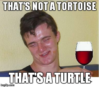 10 guy | THAT'S NOT A TORTOISE THAT'S A TURTLE | image tagged in 10 guy | made w/ Imgflip meme maker