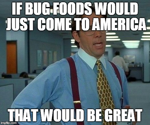 That Would Be Great Meme | IF BUG FOODS WOULD JUST COME TO AMERICA THAT WOULD BE GREAT | image tagged in memes,that would be great | made w/ Imgflip meme maker