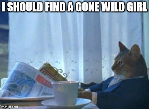 I Should Buy A Boat Cat | I SHOULD FIND A GONE WILD GIRL | image tagged in memes,i should buy a boat cat | made w/ Imgflip meme maker