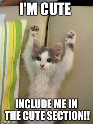 Hands up kitten | I'M CUTE INCLUDE ME IN THE CUTE SECTION!! | image tagged in hands up kitten | made w/ Imgflip meme maker