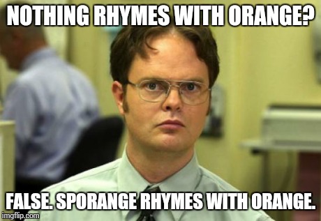 Dwight Schrute | NOTHING RHYMES WITH ORANGE? FALSE. SPORANGE RHYMES WITH ORANGE. | image tagged in memes,dwight schrute | made w/ Imgflip meme maker