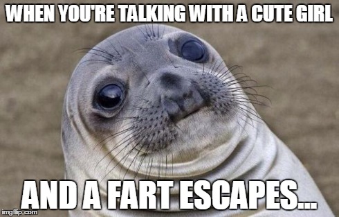 Awkward Moment Sealion | WHEN YOU'RE TALKING WITH A CUTE GIRL AND A FART ESCAPES... | image tagged in memes,awkward moment sealion | made w/ Imgflip meme maker