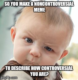 Skeptical Baby Meme | SO YOU MAKE A NONCONTROVERSIAL MEME TO DESCRIBE HOW CONTROVERSIAL YOU ARE? | image tagged in memes,skeptical baby | made w/ Imgflip meme maker