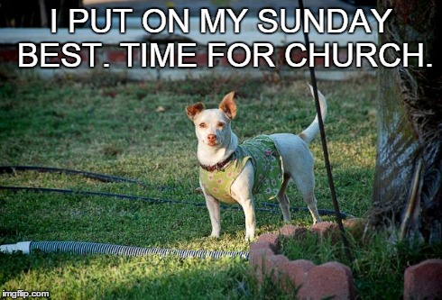 I PUT ON MY SUNDAY BEST. TIME FOR CHURCH. | image tagged in chihuahua | made w/ Imgflip meme maker