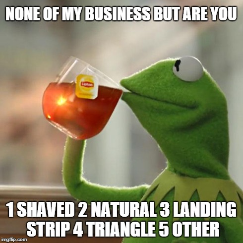 But That's None Of My Business | NONE OF MY BUSINESS BUT ARE YOU 1 SHAVED 2 NATURAL 3 LANDING STRIP 4 TRIANGLE 5 OTHER | image tagged in memes,but thats none of my business,kermit the frog | made w/ Imgflip meme maker