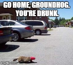 go home groundhog | GO HOME, GROUNDHOG. YOU'RE DRUNK. | image tagged in drunk | made w/ Imgflip meme maker