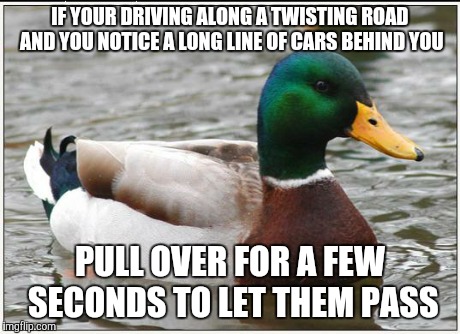 Actual Advice Mallard Meme | IF YOUR DRIVING ALONG A TWISTING ROAD AND YOU NOTICE A LONG LINE OF CARS BEHIND YOU PULL OVER FOR A FEW SECONDS TO LET THEM PASS | image tagged in memes,actual advice mallard | made w/ Imgflip meme maker