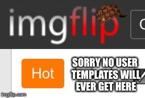 Scumbag Imgflip | SORRY NO USER TEMPLATES WILL EVER GET HERE | image tagged in scumbag imgflip,scumbag,bad luck brian,this is a serious problem | made w/ Imgflip meme maker